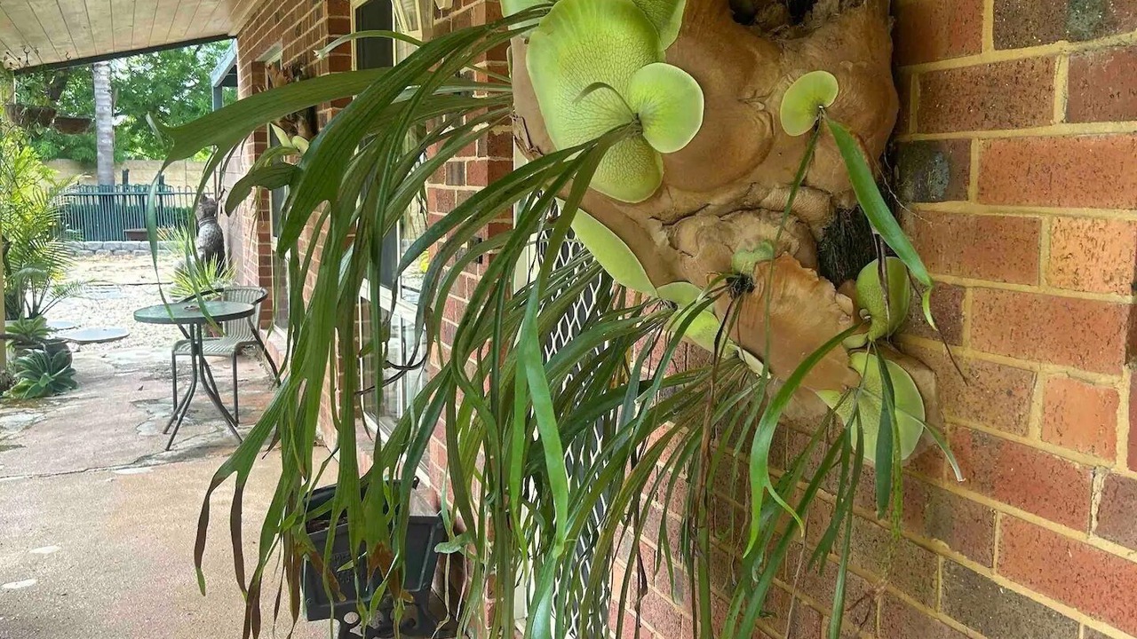 Photo of Outdoor in Echuca