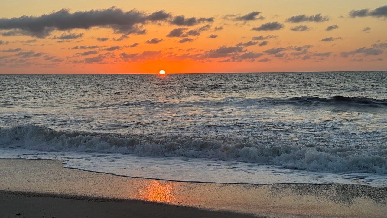 Photo of Others in Fernandina Beach