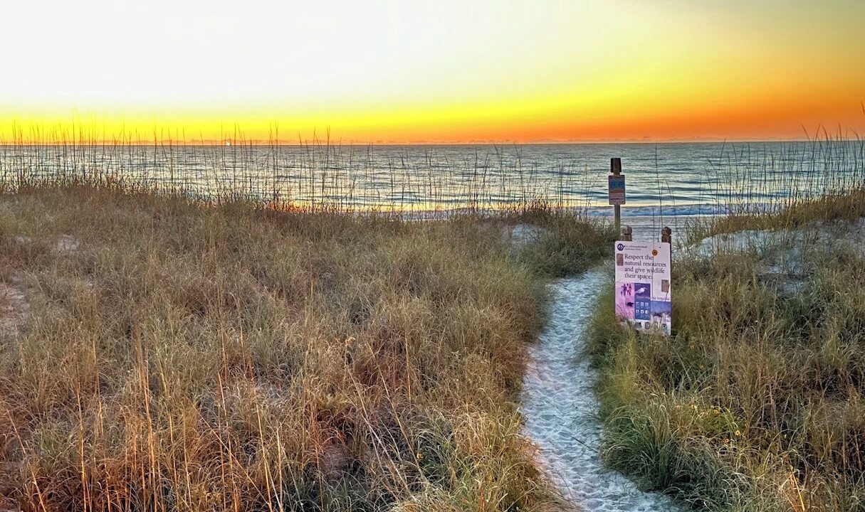 Photo of Others in Fernandina Beach
