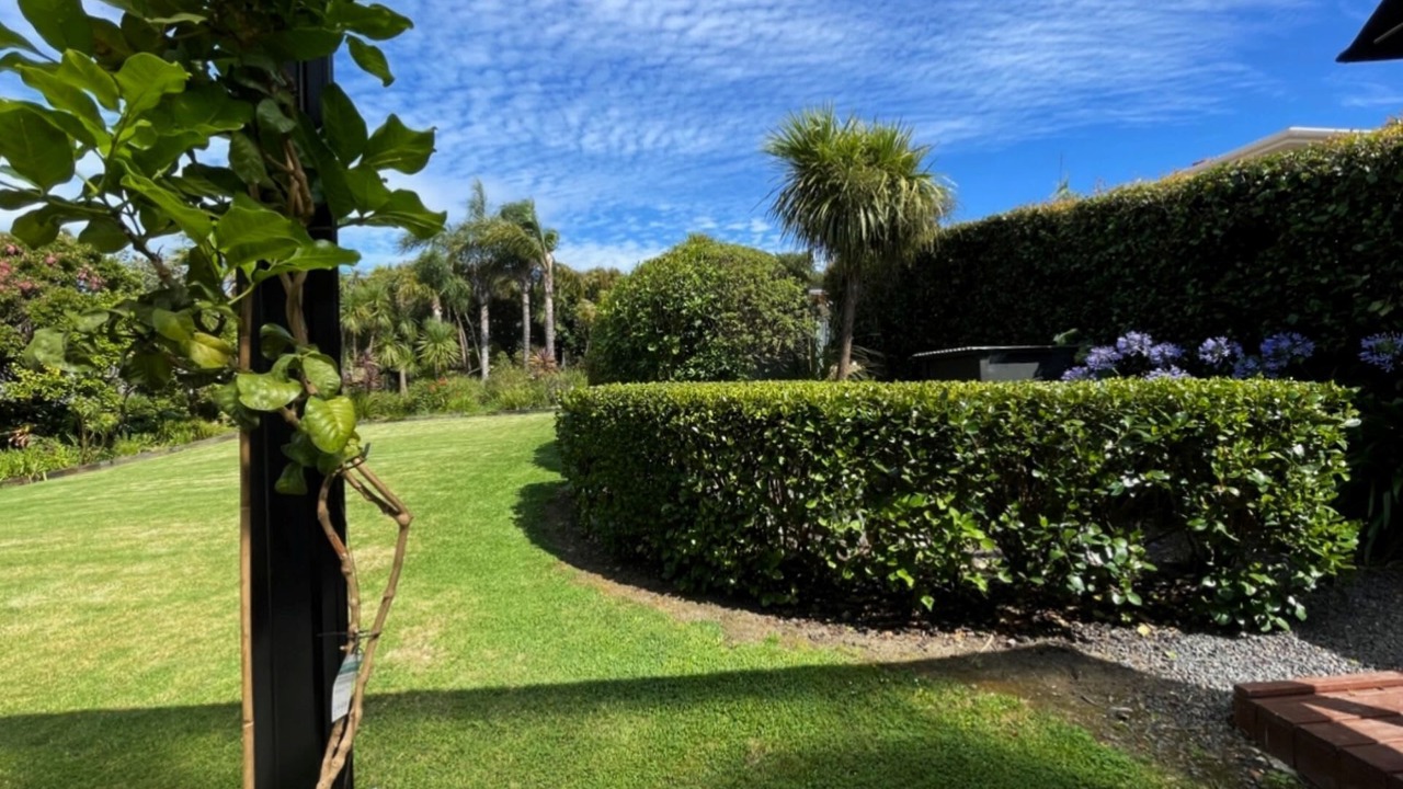 Photo of Outdoor in Oneroa