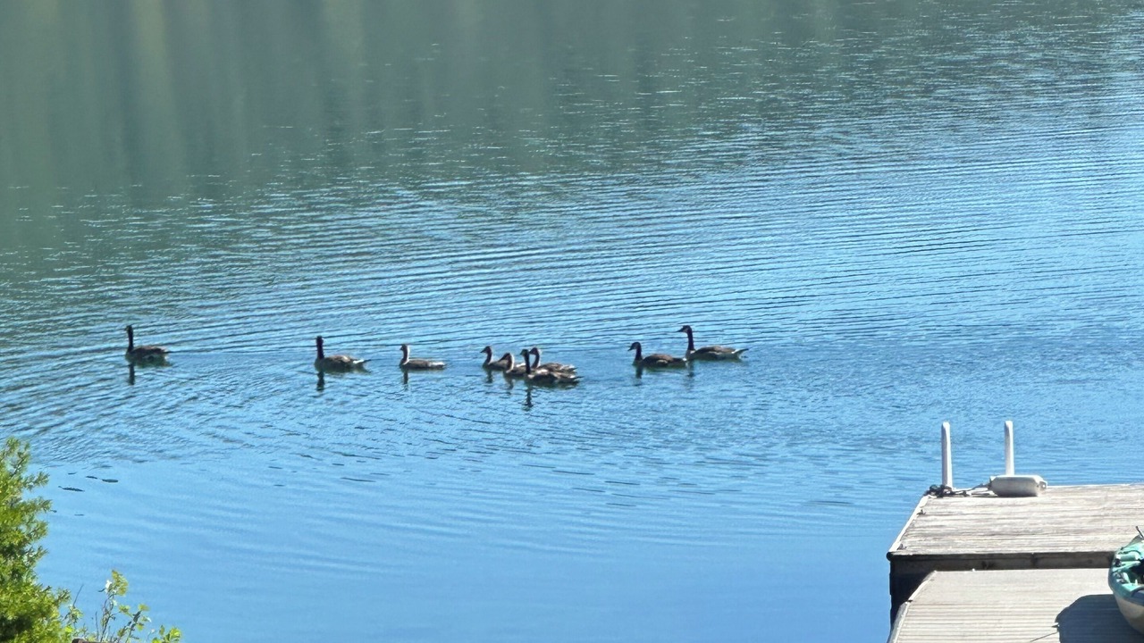 Photo of Others in Marion