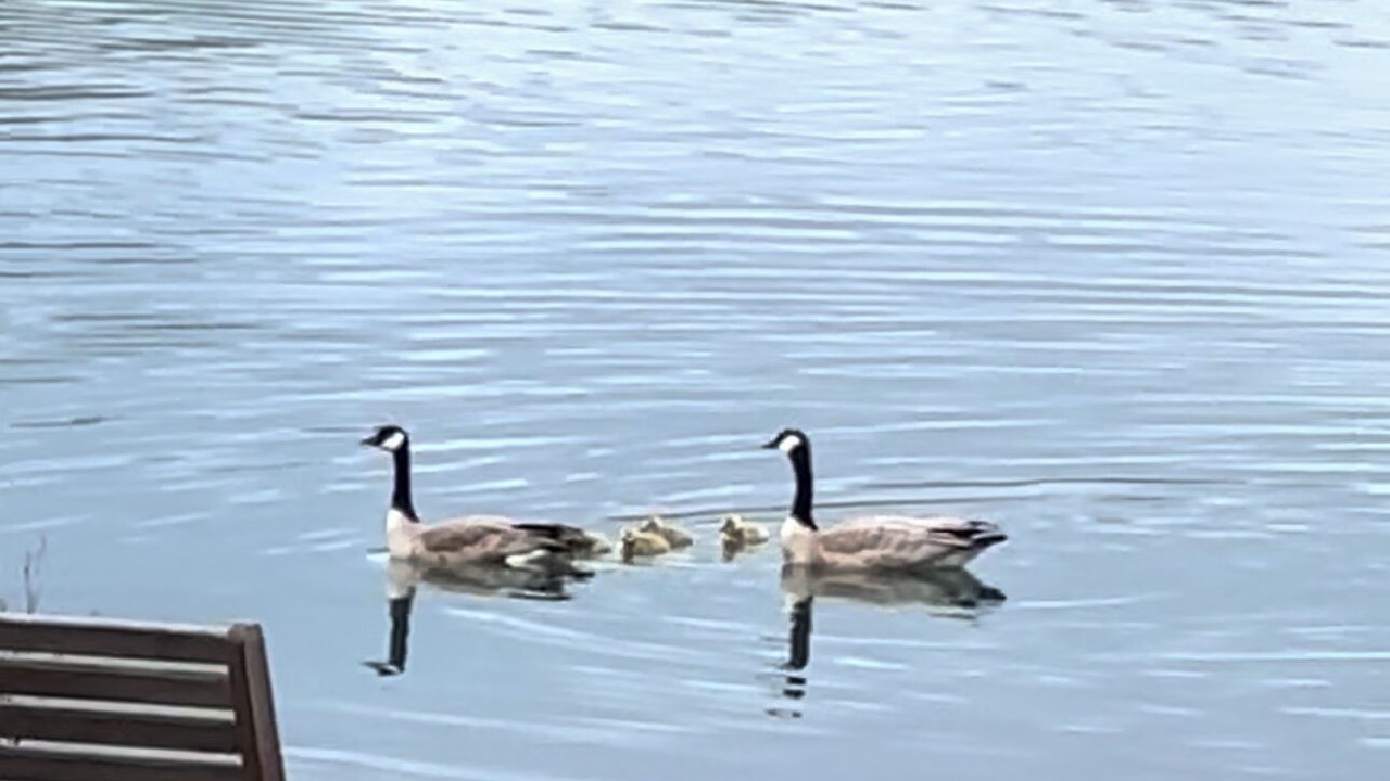 Photo of Others in Marion