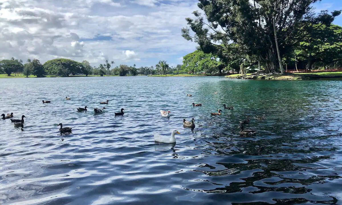 Photo of Others in Hilo