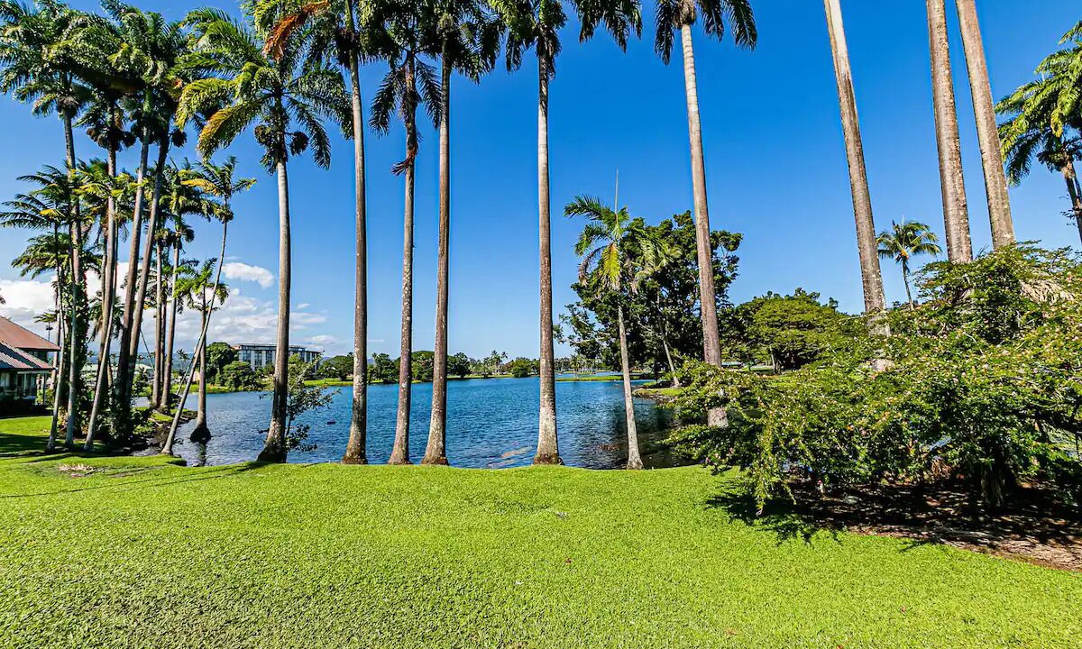 Photo of Outdoor in Hilo