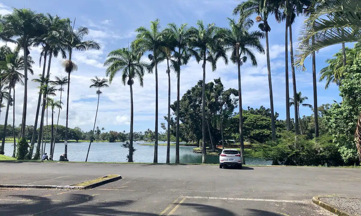 Photo of Others in Hilo