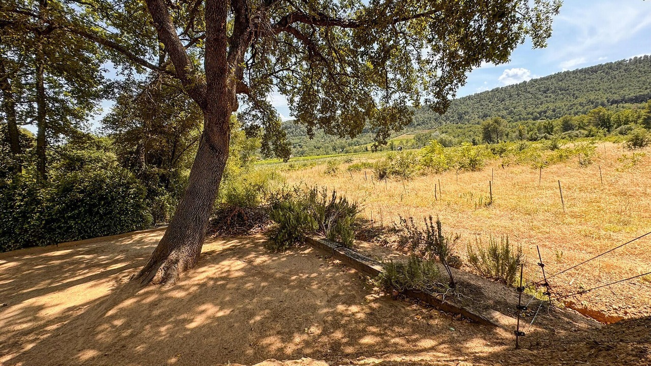 Photo of Others in Salernes