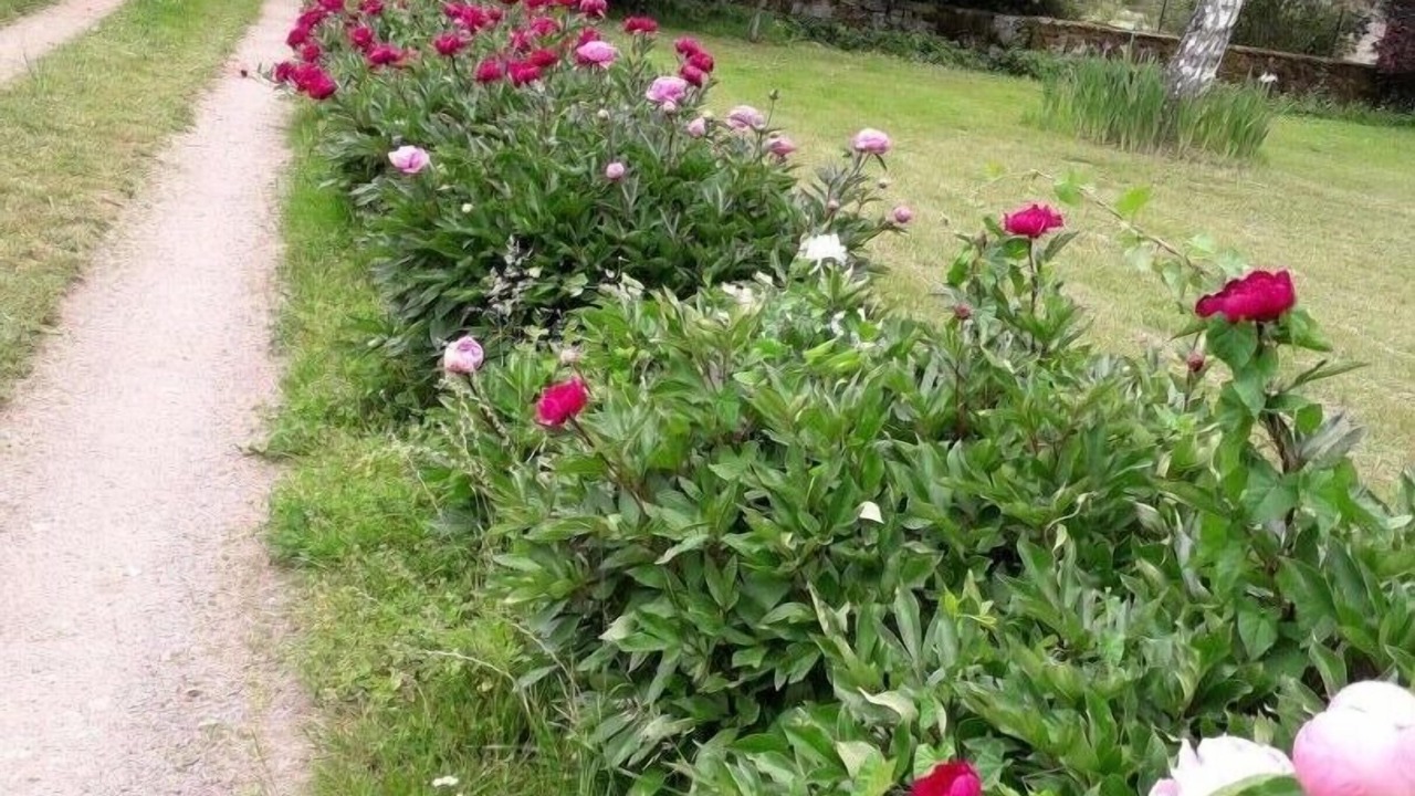 Photo of Outdoor in Martigny-le-Comte