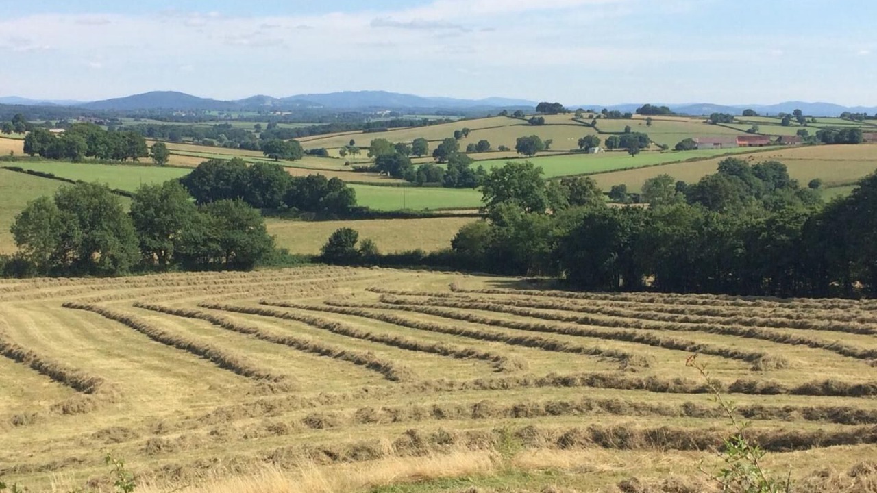 Photo of Others in Martigny-le-Comte