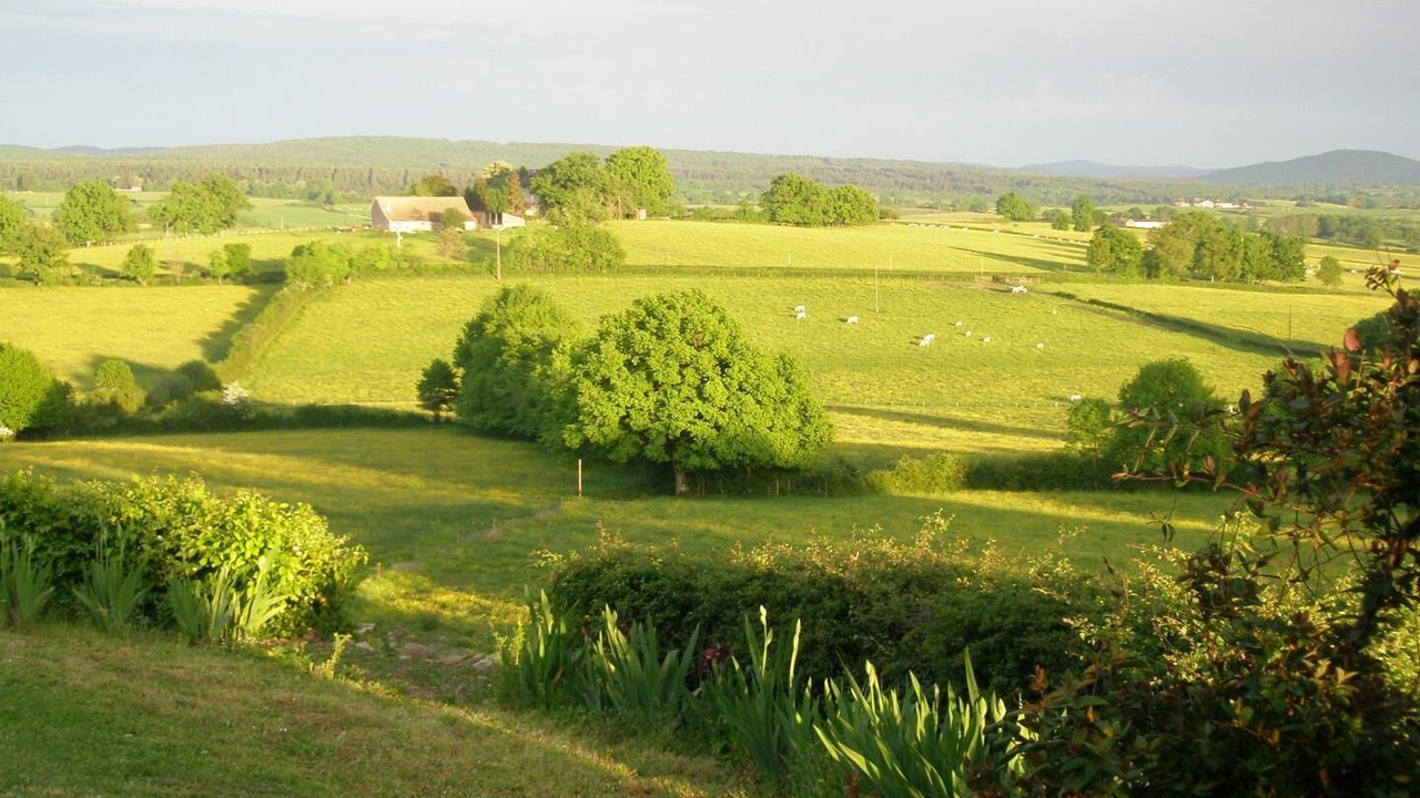 Photo of Others in Martigny-le-Comte