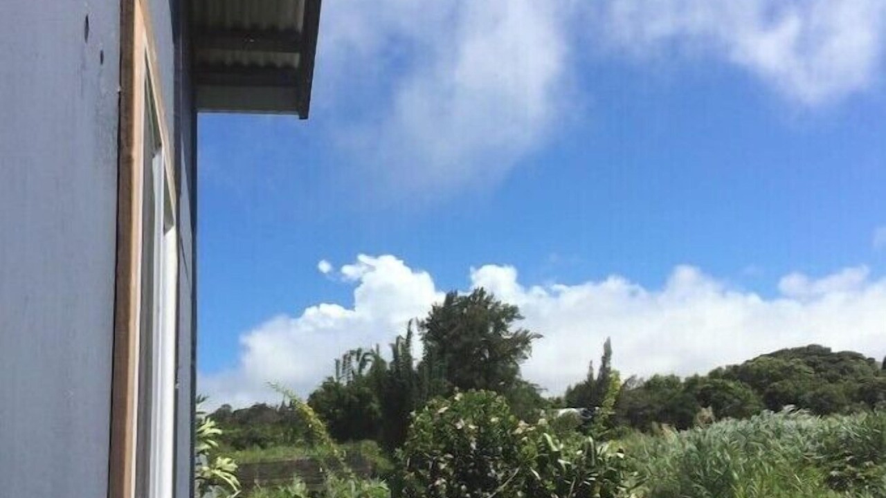 Photo of Outdoor in Honokaa