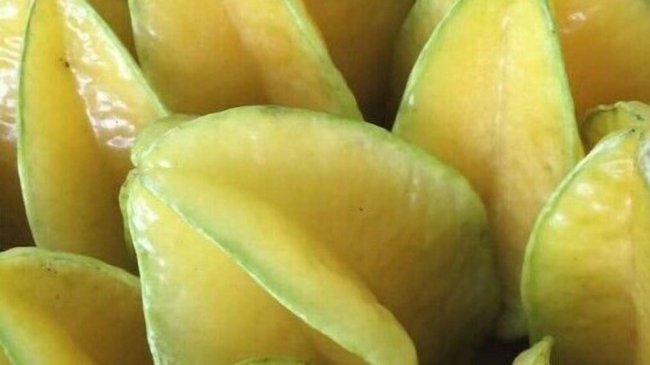 Photo of Others in Honokaa