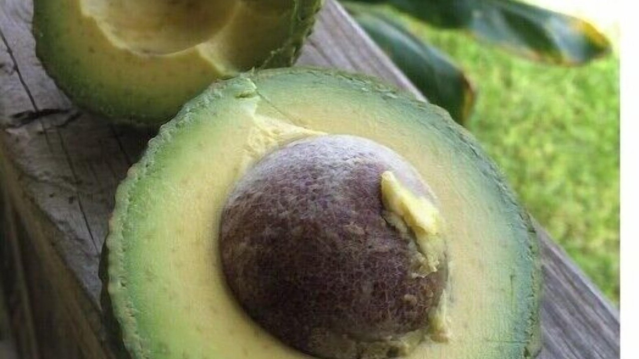 Photo of Others in Honokaa