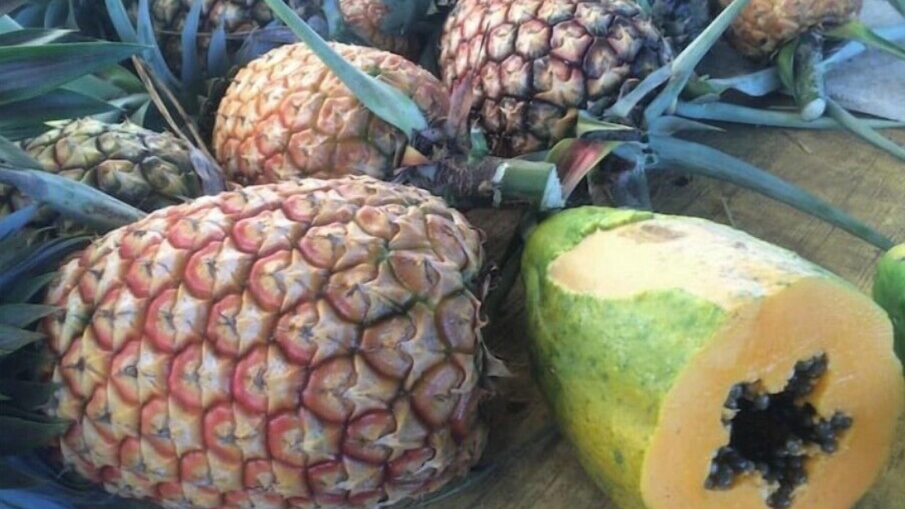 Photo of Others in Honokaa