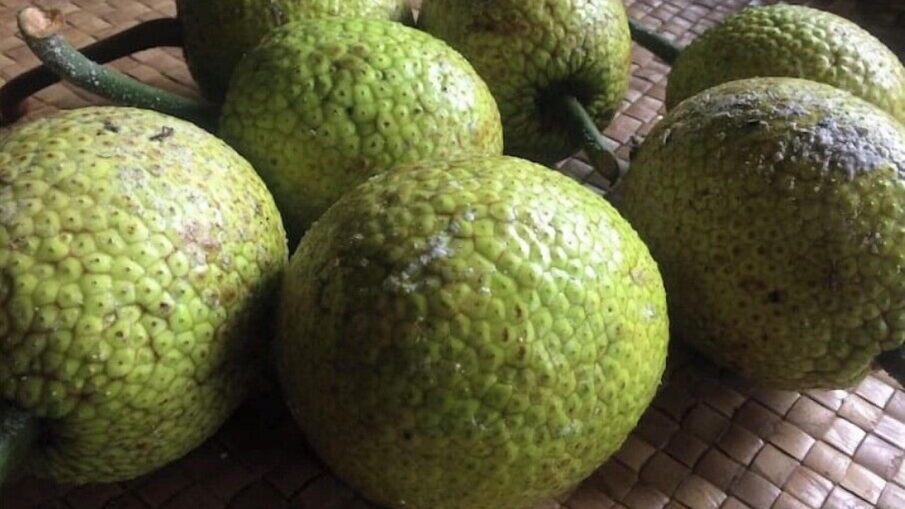 Photo of Others in Honokaa