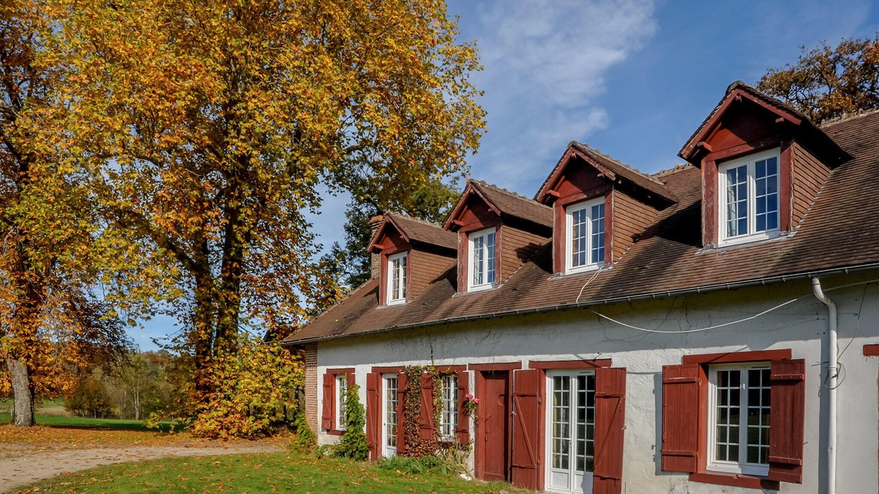 Photo of Others in Ligny-le-Ribault