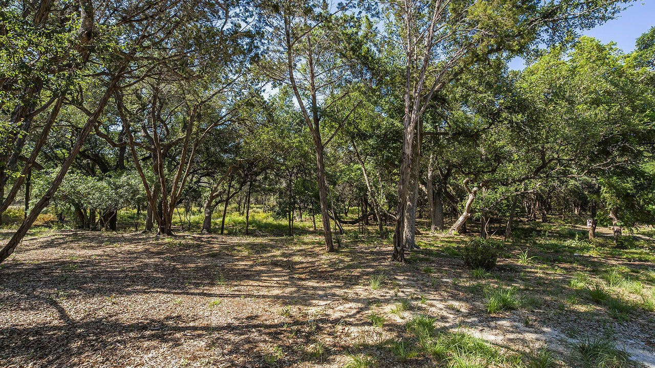 Photo of Outdoor in Driftwood