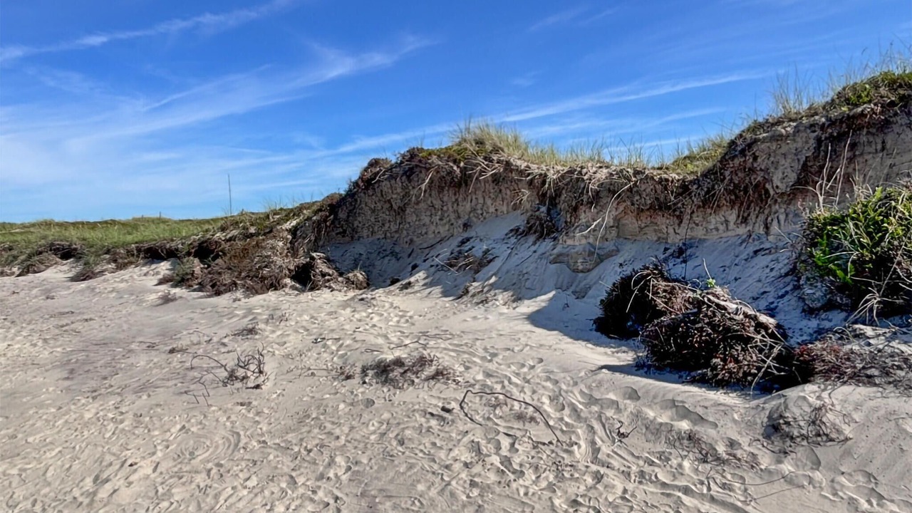Photo of Others in Skagen