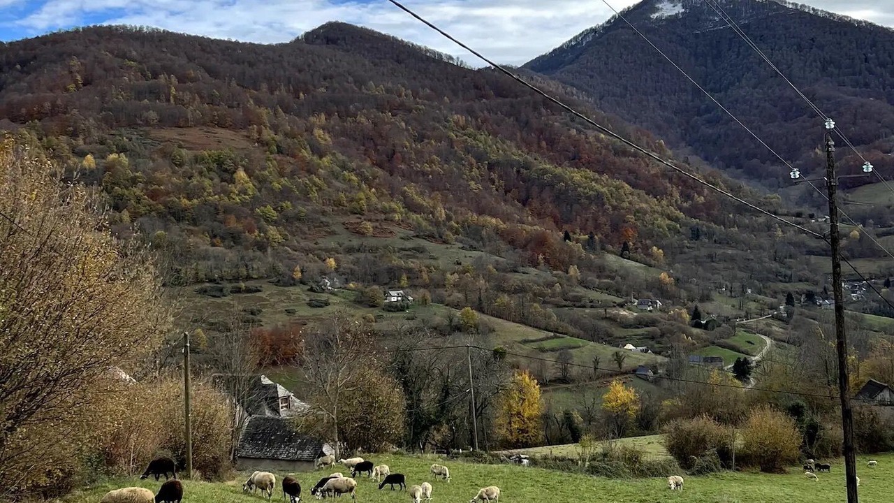 Photo of Others in Saint-Lary