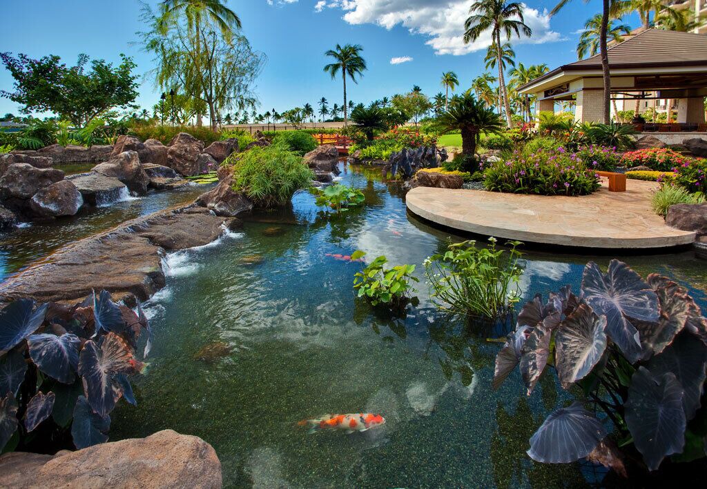 Photo of Others in Ko Olina