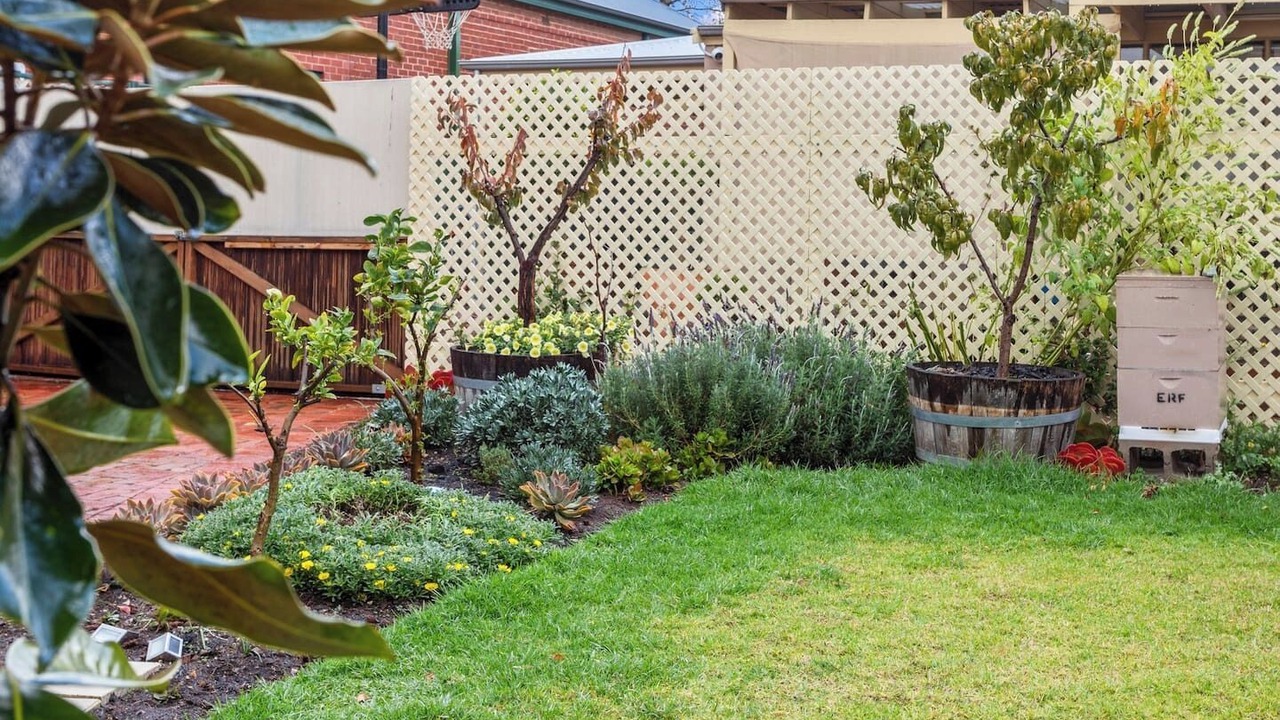 Photo of Others in Torrensville