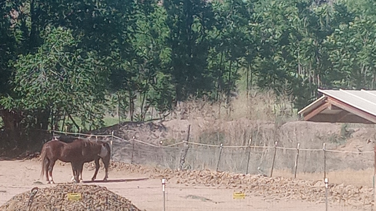 Photo of Outdoor in Pleasanton