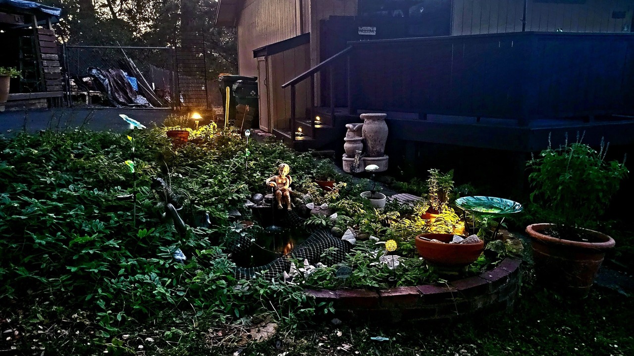 Photo of Outdoor in Placerville