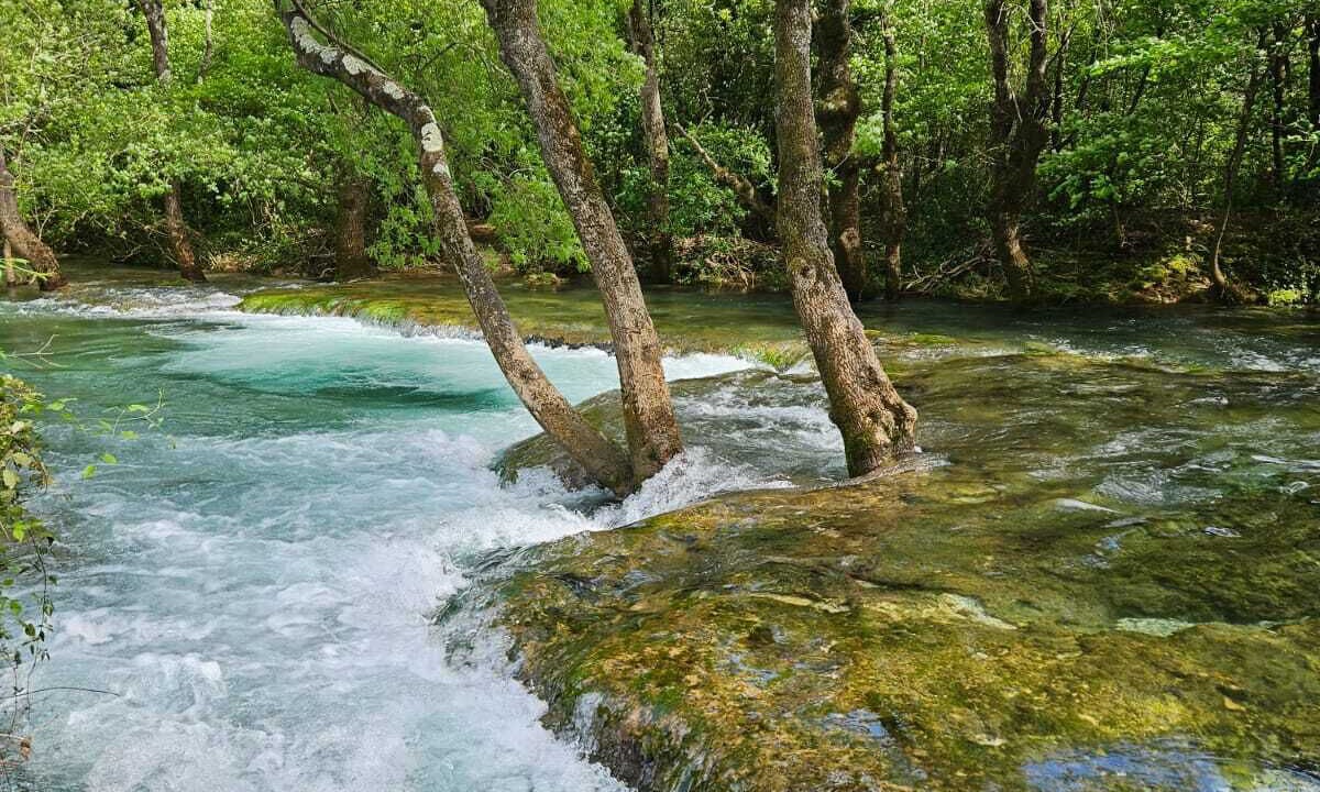 Photo of Others in Ganges