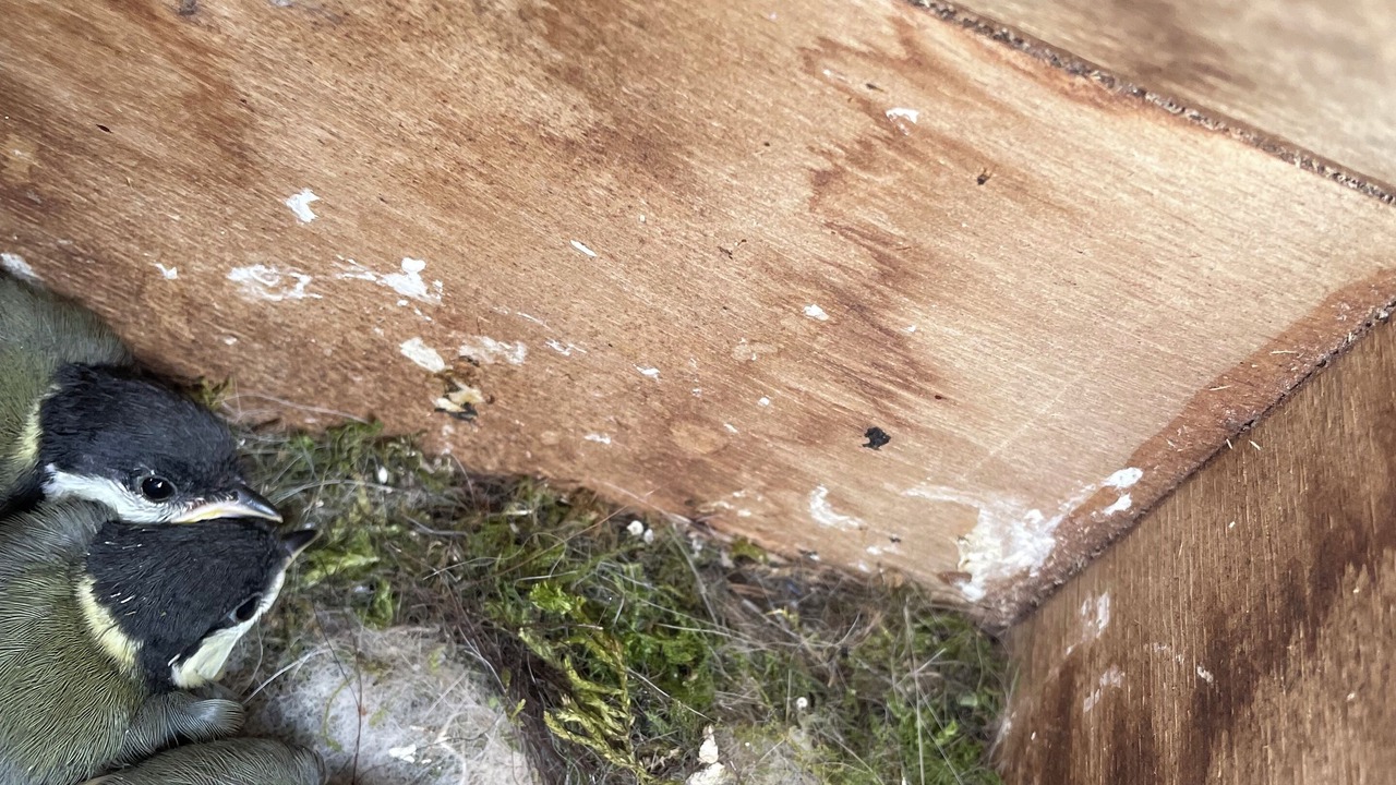 Photo of Others in Ganges