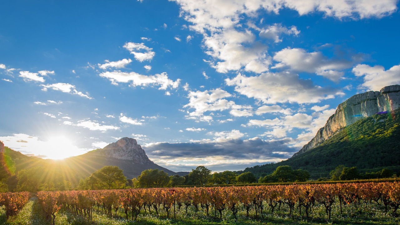 Photo of Bathroom in Ganges