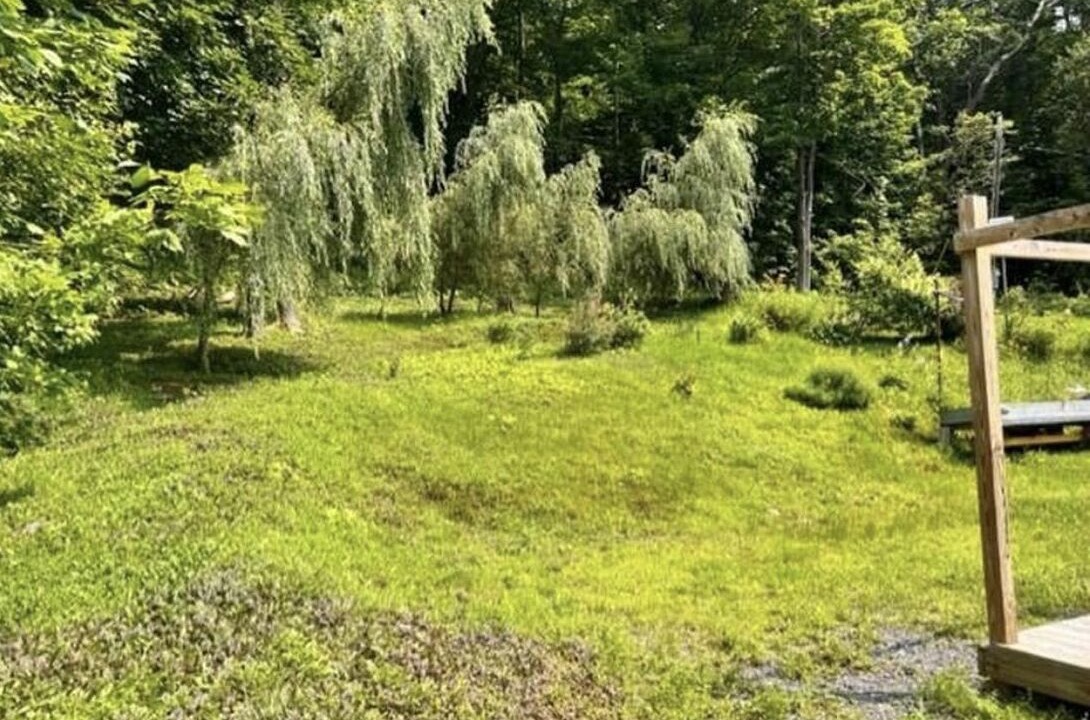 Photo of Others in Bingham