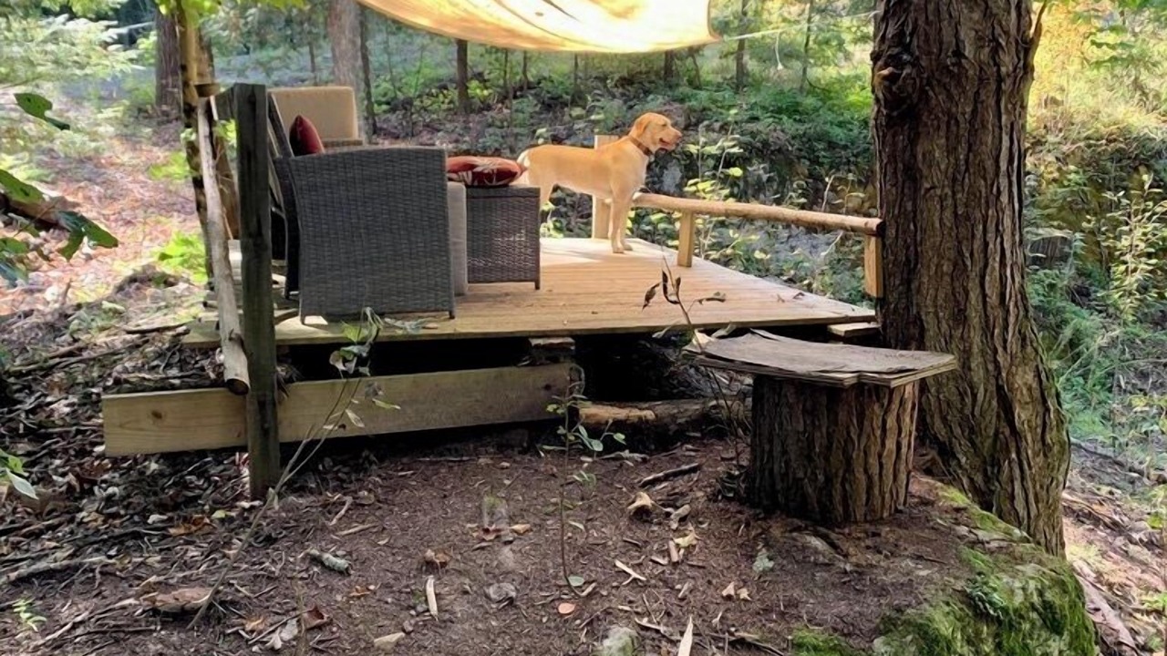 Photo of Outdoor in Crown Point