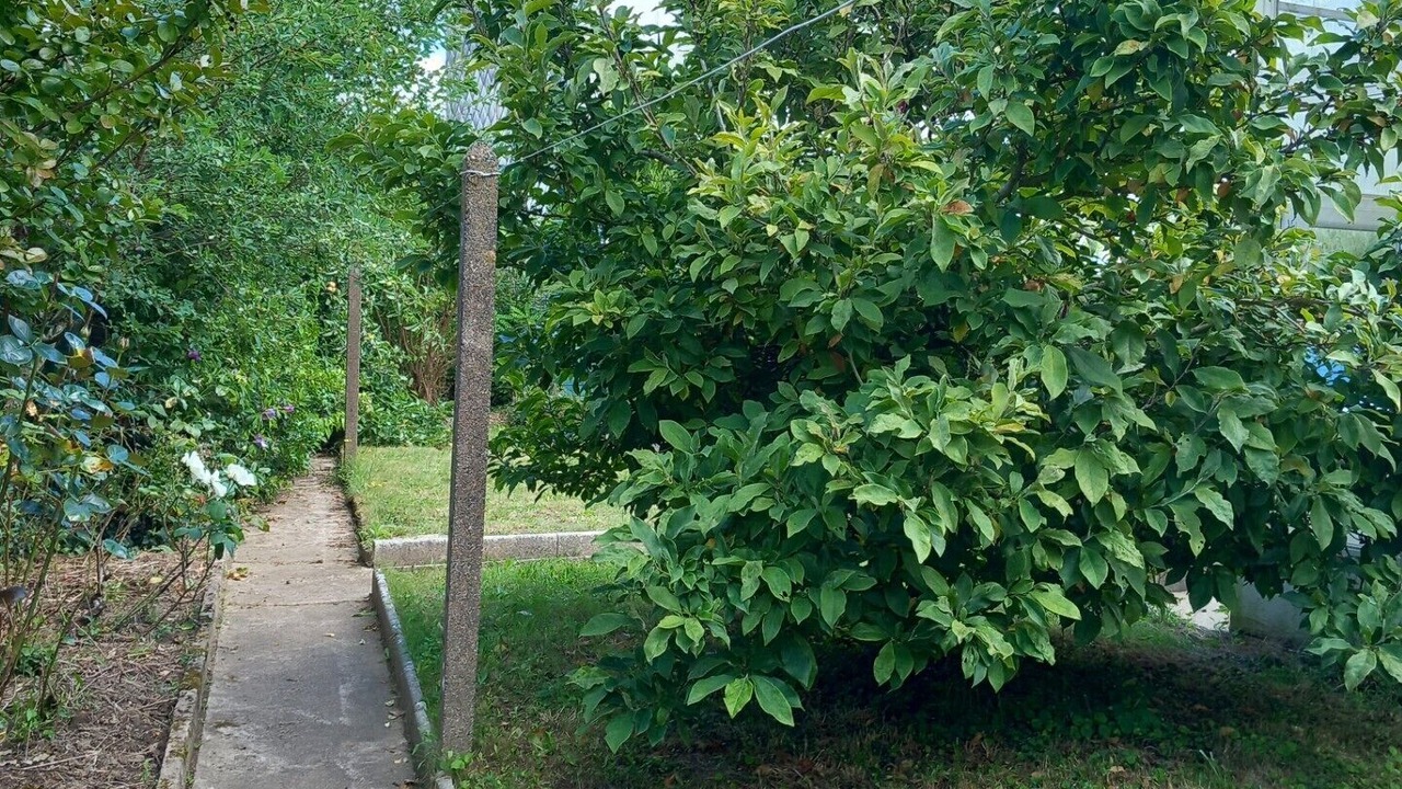 Photo of Outdoor in La Roche-sur-Yon