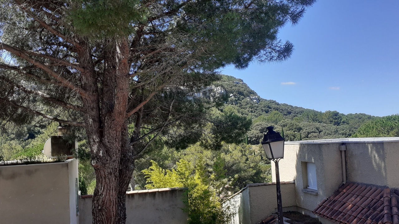 Photo of Others in Paradou