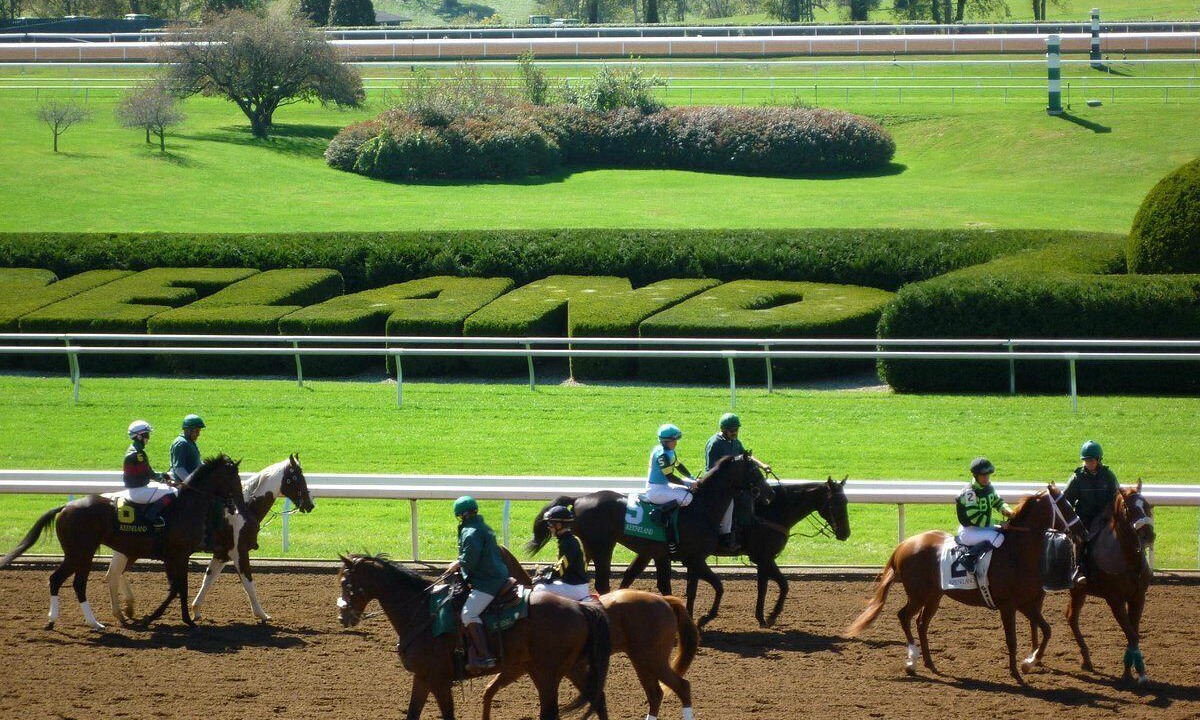 Photo of Others in Lexington