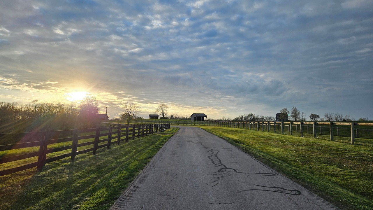 Photo of Others in Lexington