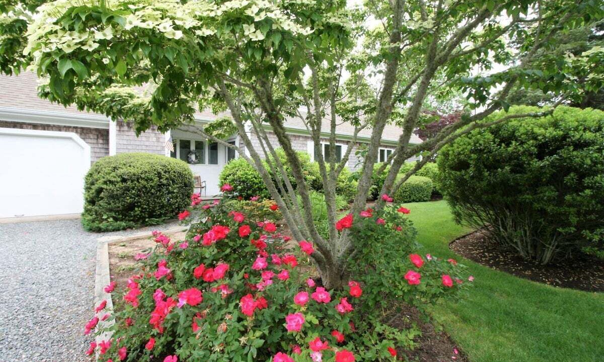 Photo of Others in East Orleans