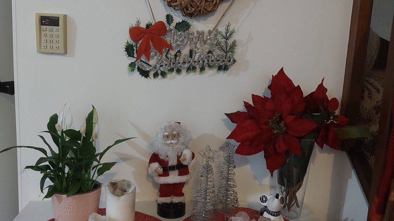 Photo of Others in Otumoetai