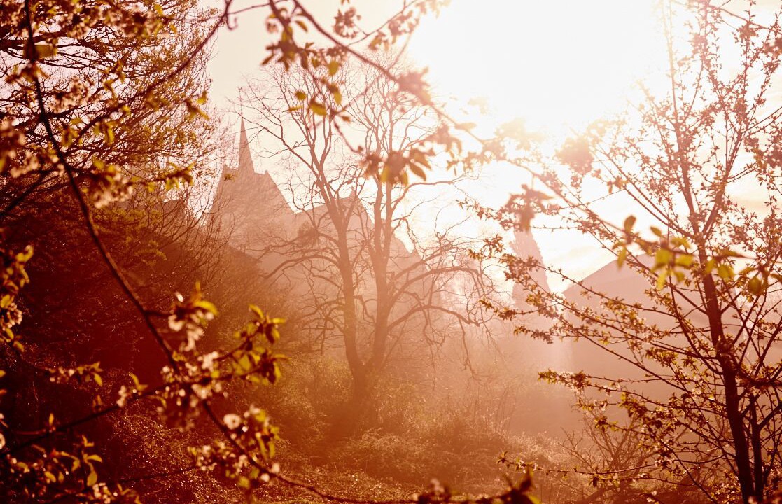 Photo of Outdoor in Crouttes