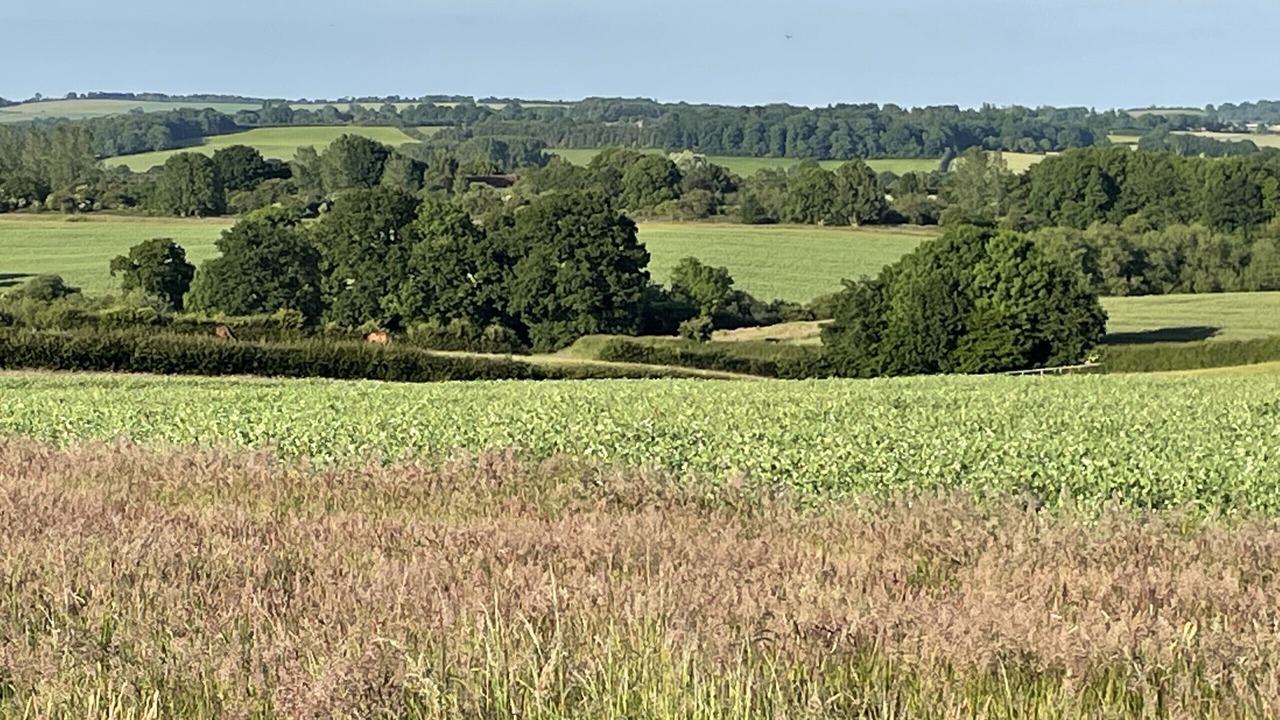 Photo of Others in Banbury