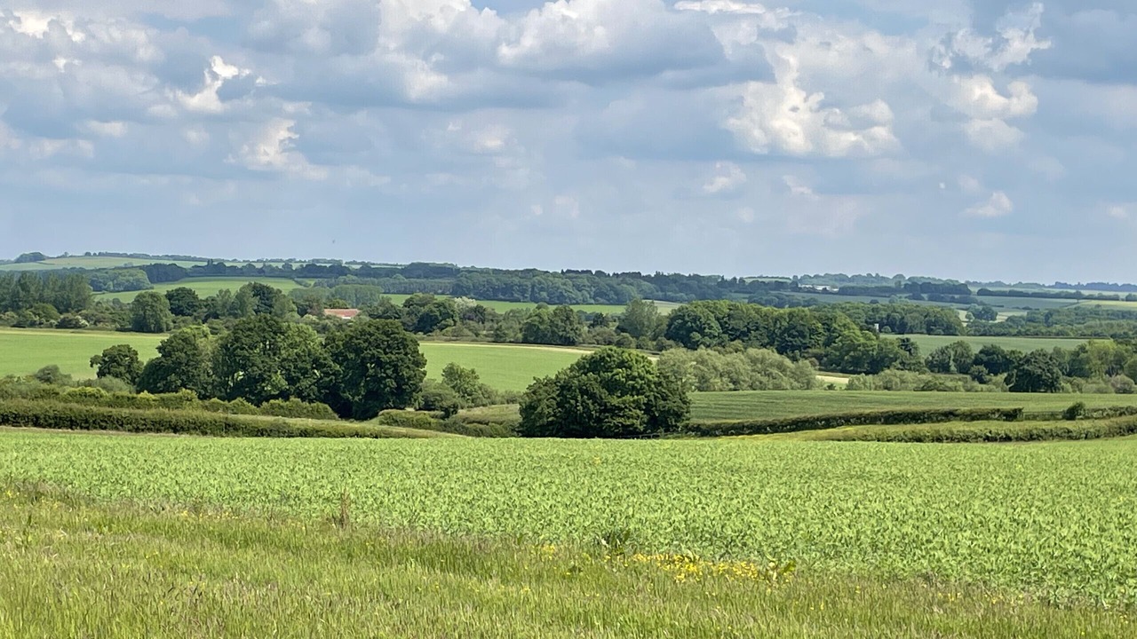 Photo of Others in Banbury