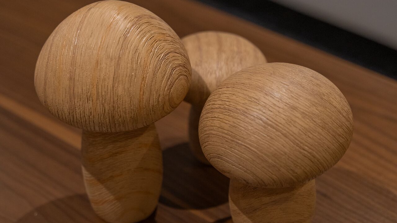 Photo of Others in Lanark