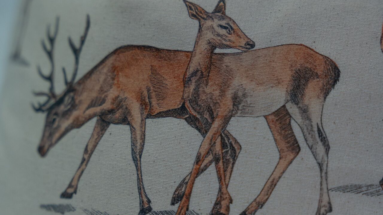 Photo of Livingroom in Lanark