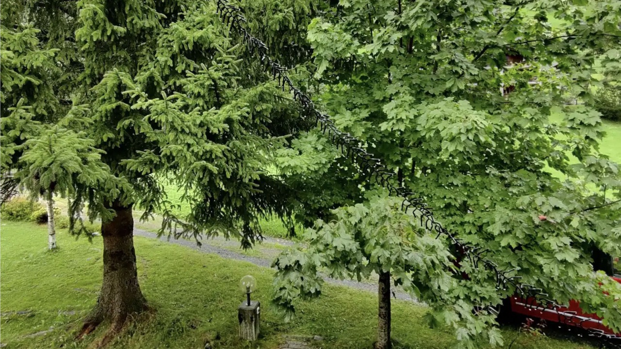 Photo of Outdoor in Engelberg