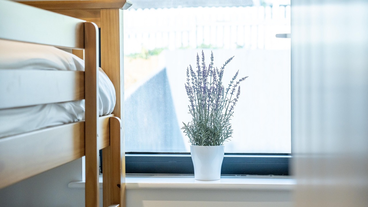 Photo of Bedroom in Bath