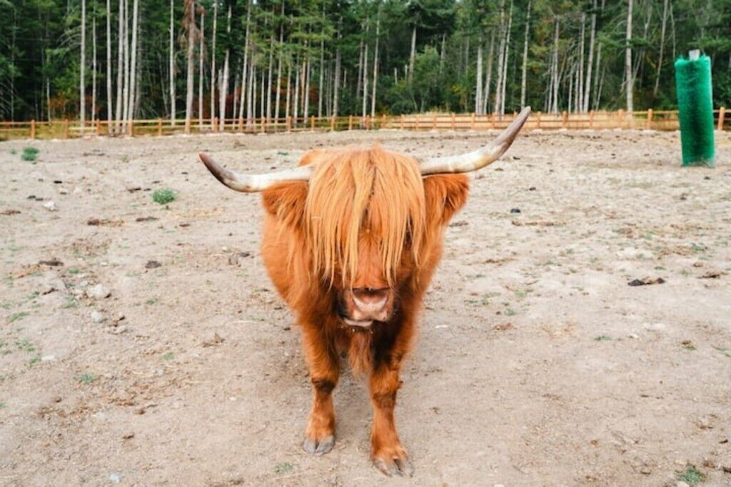 Photo of Outdoor in Eatonville