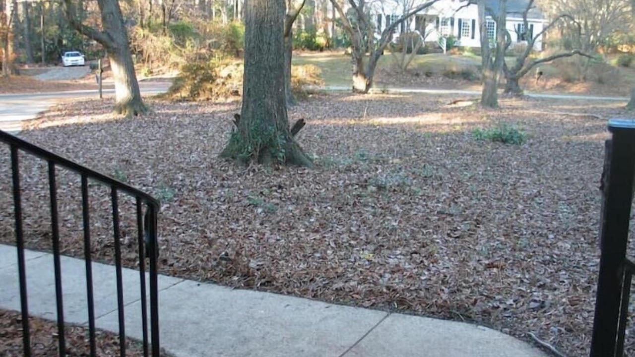 Photo of Outdoor in Cary
