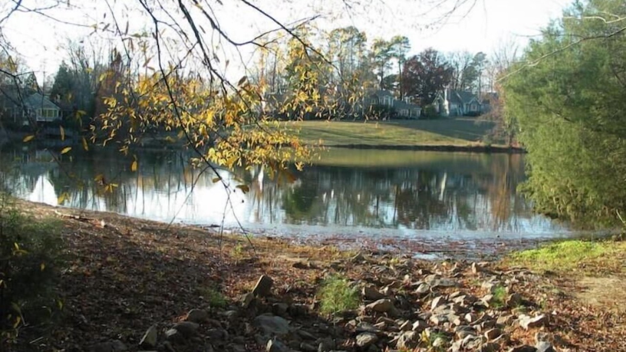 Photo of Others in Cary