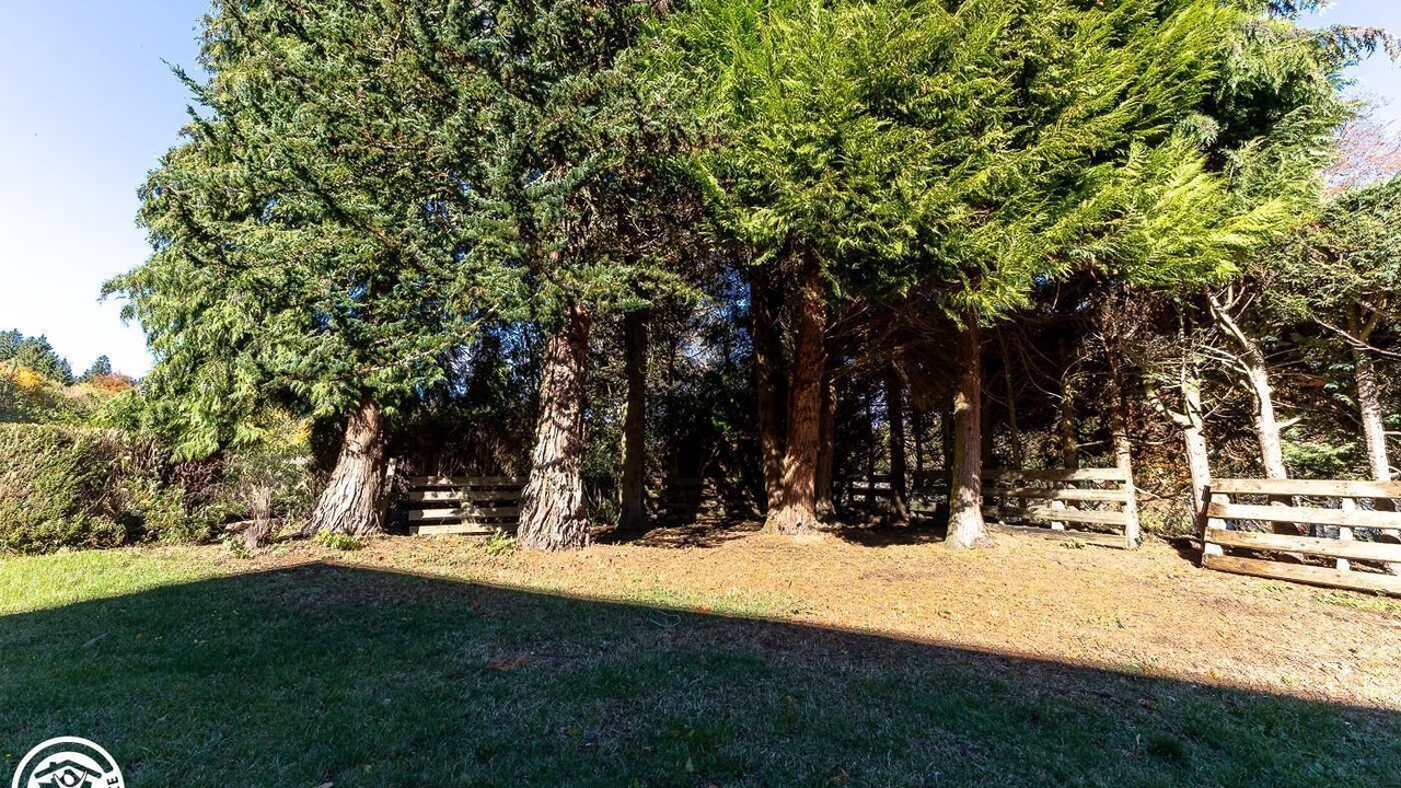 Photo of Outdoor in Laschamps