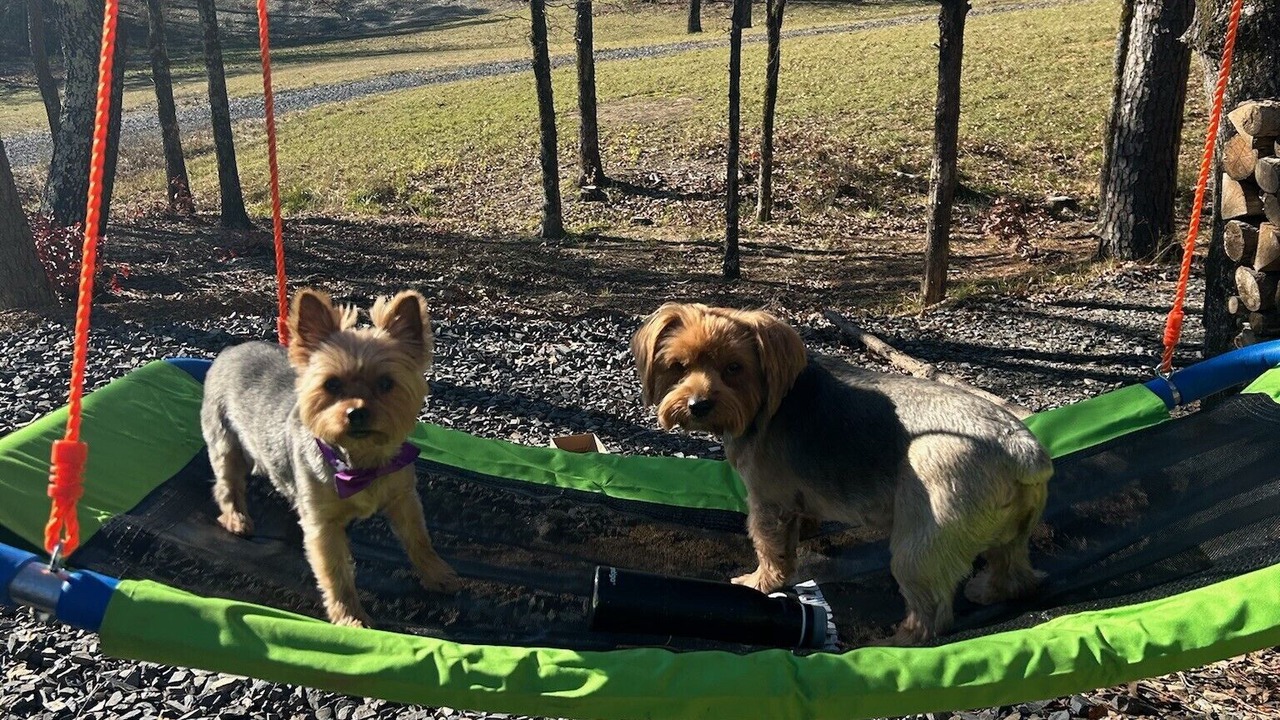 Photo of Outdoor in Board Camp