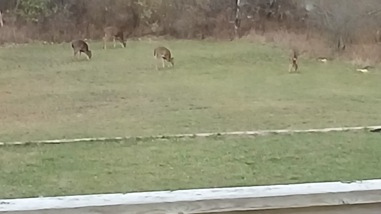 Photo of Outdoor in Suttons Bay